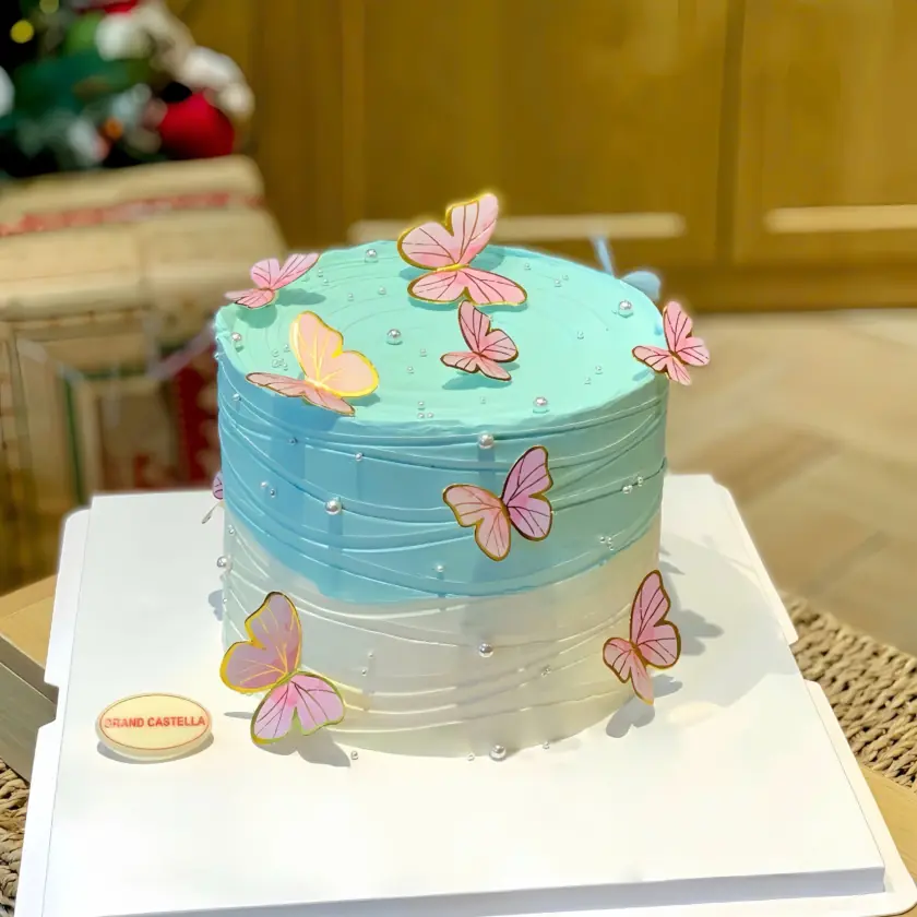 Bánh Kem Bơ Pháp – Grand Castella